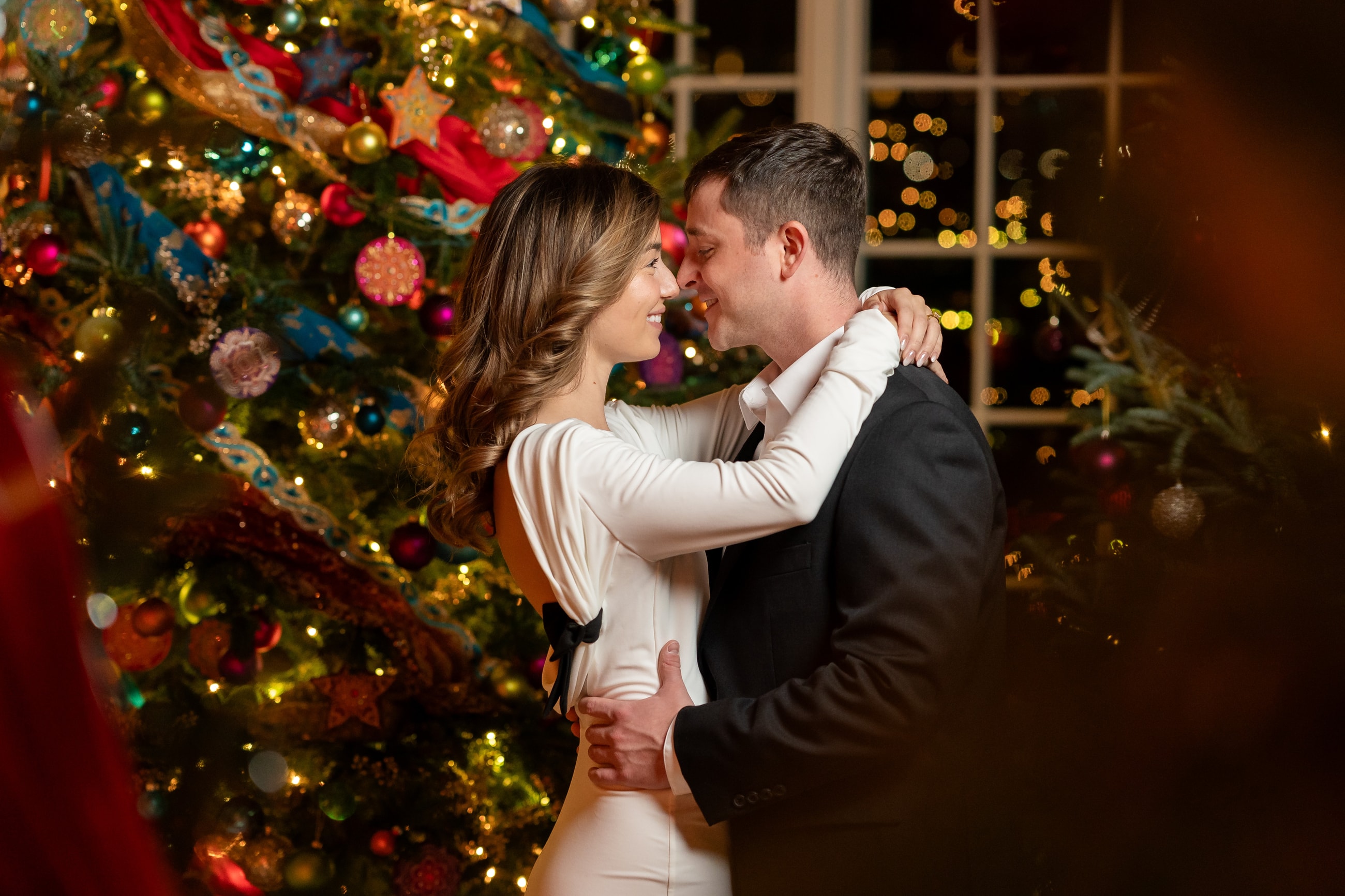 Christmas Magic at Hershey Gardens: A Dramatic Engagement